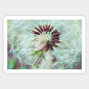 Dandelion Sticker